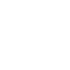 Brave Warrior Eagle Emblem