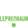 World's Tallest Leprechaun