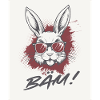 Hase mit Sonnenbrille 