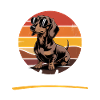 Funny Dog Breed Dachshund