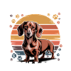 Funny Dog Breed Dachshund