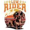 Funny Dog Breed Dachshund