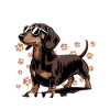 Funny Dog Breed Dachshund