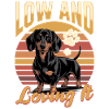 Funny Dog Breed Dachshund