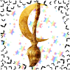 Golden Broom and Magic Moon