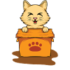 Cat Laugh Box
