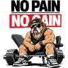 No Pain Bulldog Gym Power