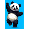 panda