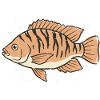 Orange Stylized Tiger Stripe Fish