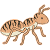 Stylized Tiger Ant Tiger Stripes