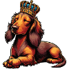Long-haired Dachshund Dachshund Holder Dachshund Tekkel