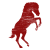 4. Juli USA Reiten