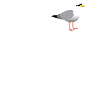Bier Bucht Seefahrer Kneipe