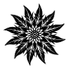 Fleur d’Edelweiss