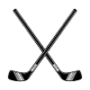 Hockey Sticks