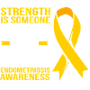 Endométriose