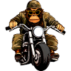 Motorcycle Monkeys
