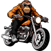 Motorrad Affe