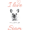 J’aime le Siam