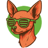 Chihuahua with neon sunglasses
