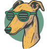 Lévrier, Galgo
