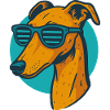 Greyhound, Galgo Sunglasses Pop Art