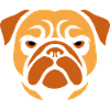 Mops , Hundekopf