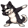 Dabbing Border Collie