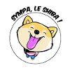 Sympa, le Shiba !