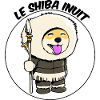 Le Shiba Inuit