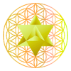 Merkaba-Stern & Blume des Lebens