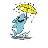 Umbrella shark in the rain