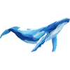 whale