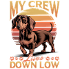 Funny Dog Breed Dachshund