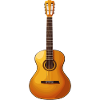 Guitariste