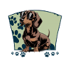 Funny Dog Breed Dachshund