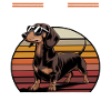 Funny Dog Breed Dachshund