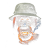 Adventure orangutan with hat