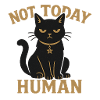 Pas aujourd’hui sarcasme chat noir humain