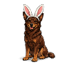 Hopping dog with rabbit ears
