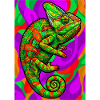 chameleon