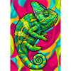 chameleon