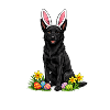 Osterhund mit Hasenohren und Ostereiern