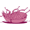 Cafard renversé