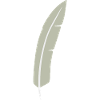 Feather Arc Minimalist Print