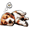 Beagle Beaglebesitzer Beaglehalter beaglehund