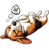Beagle Beaglebesitzer Beaglehalter beaglehund