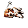 Feeling Dog Tired Beagle Beaglebesitzer Beaglehund