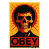 Affiche pop art Skull Rays