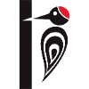 Specht am Baum - Zimmermannsvogel